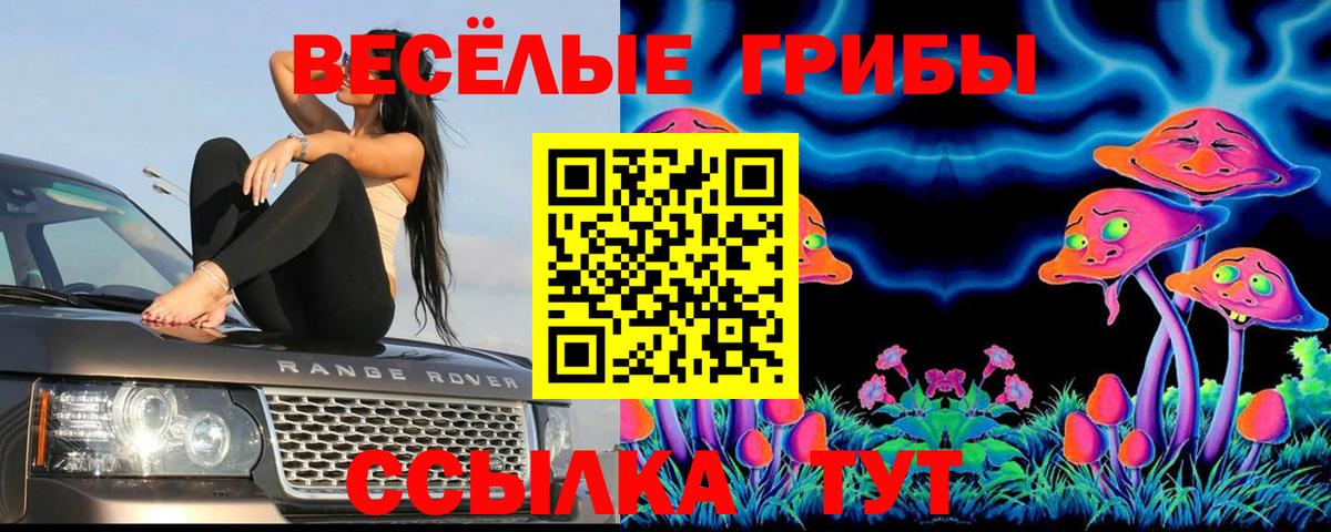 Галлюциногенные грибы Cubensis  наркота  Красноярск  Вход с VPN 