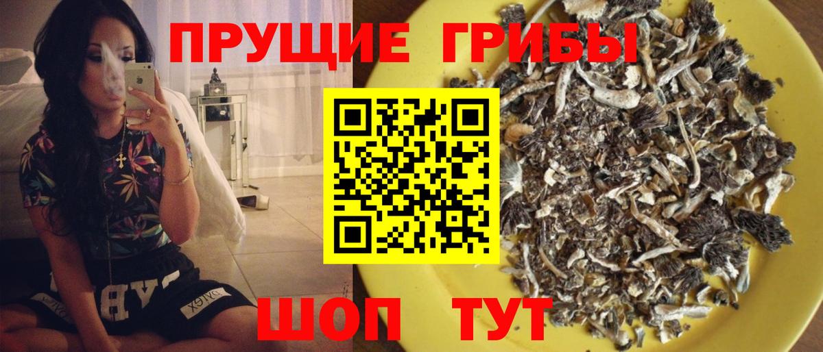 Галлюциногенные грибы Magic Shrooms Красноярск